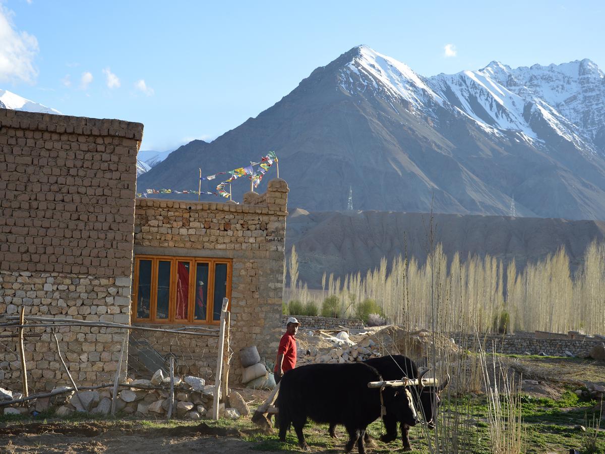 Nimmu House Ladakh Nimu Exterior foto